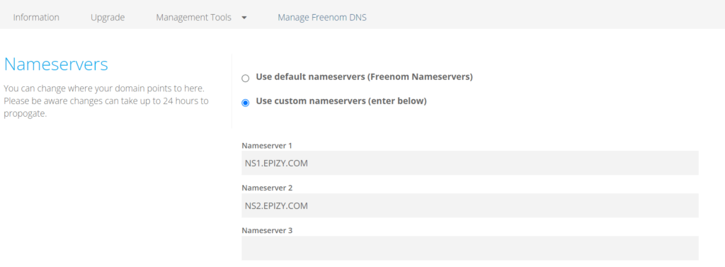 type in Nameservices